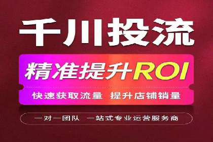 百度SEO推广策略案例：一家公司的成功转型之路